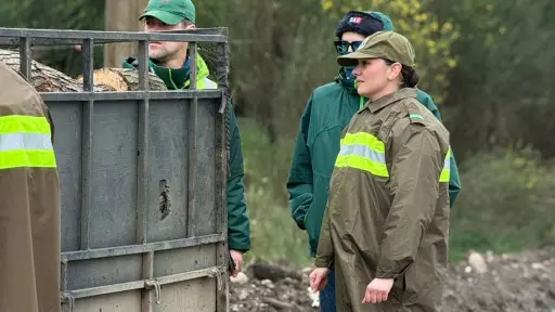 Carabineros y SAG refuerzan fiscalización para prevenir el abigeato en Mulchén