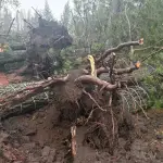 Meteorólogo Elio Brufort confirmó que el fenómeno registrado en Yungay corresponde a un tornado, preliminarmente EF0, aunque sus daños deben ser evaluados en terreno., cedida