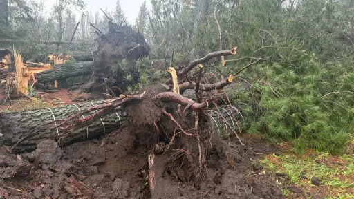 Meteorología confirma que fenómeno en Yungay fue un tornado: intensidad EF0 aún debe ser verificada