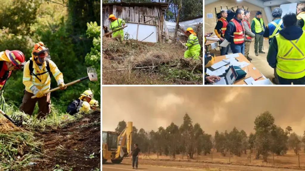 Incendios forestales: Biobío se prepara para una temporada con más vegetación y nuevos episodios de calor, La Tribuna