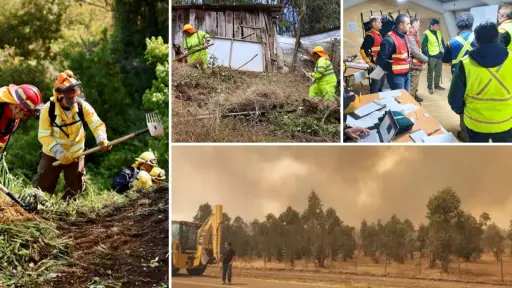 Incendios forestales: Biobío se prepara para una temporada con más vegetación y nuevos episodios de calor