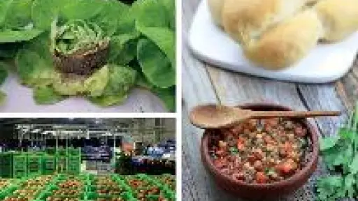 Horticultores aseguran abastecimiento para Fiestas Patrias pese a escasez puntual de zanahorias y lechugas