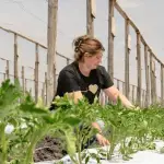 Ante los embates del cambio climático y sus daños indirectos en la naturaleza, el sector agrícola apunta a actualizar los seguros para resguardar su capital y asegurar competitividad.