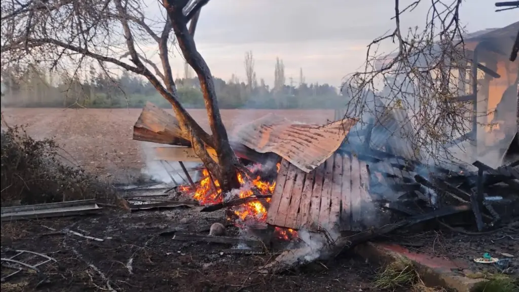 Incendio de bogeda, Brisal