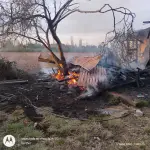 Incendio de bogeda, Brisal