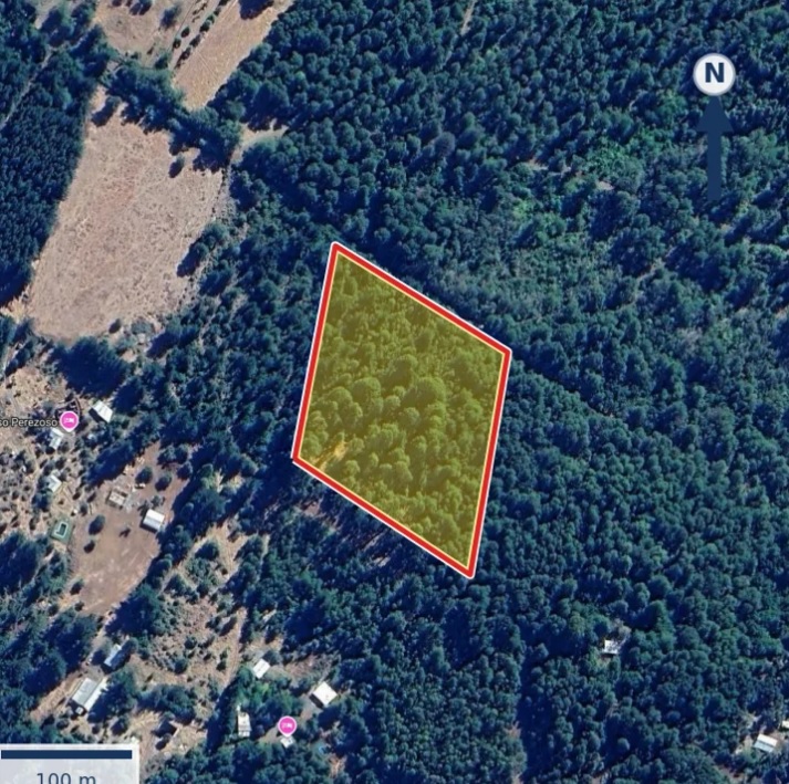 Terreno agrícola / Captura