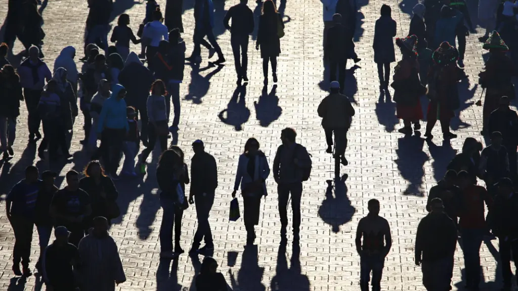 El estudio advierte que el 41% de este grupo está buscando empleo, reflejando las dificultades de inserción laboral que enfrenta este segmento., contexto