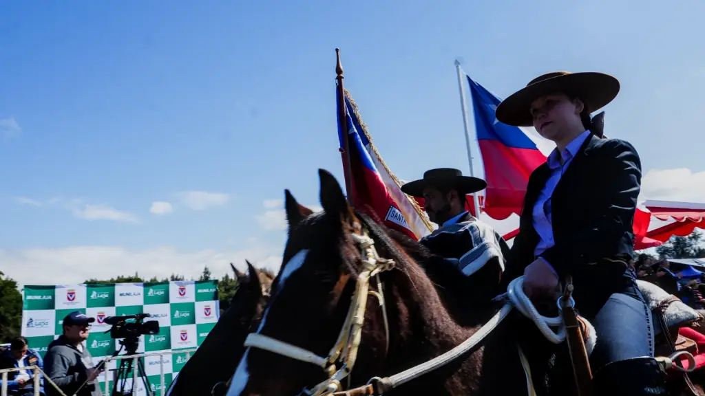 Santa Elena vivió tradicional Desfile Escolar Rural de Laja | Municipalidad de Laja