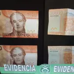 Dinero recuperado por Carabineros de Cabrero, X: @CarabBioBio
