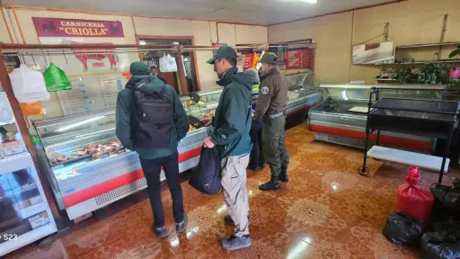Fiscalización detecta incumplimiento sanitario y retira más de 40 kilos de carne en Mulchén