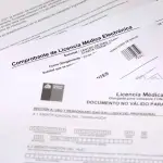 Licencia médica, Contexto 