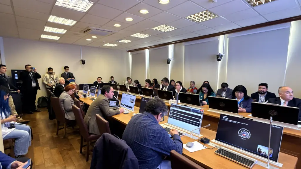 Según cifras del gremio y del Servicio Nacional de Aduanas, el volumen importado creció 29 veces entre 2019 y el primer semestre de 2026.