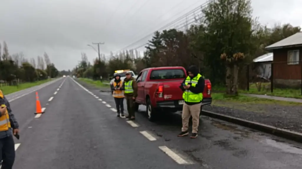 Fiscalización en Antuco, Carabineros de Chile