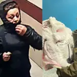 Este jueves comienza en Temuco el juicio contra una mujer acusada de sustraer una lactante de seis días desde el Hospital Regional., redes sociales
