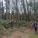 Recorrido funcionarios DMC en Tucapel, Municipalidad de Tucapel