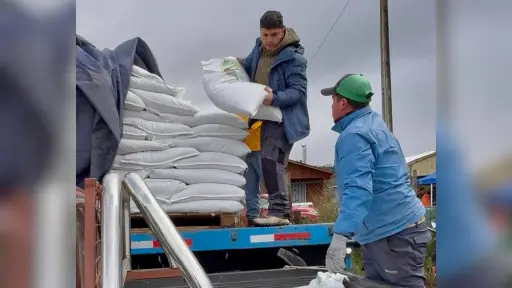 Indap entrega alimento para el ganado afectado por emergencias climáticas en Santa Bárbara