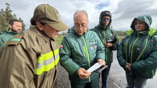 Controles al transporte de ganado se intensifican en Biobío ante riesgo de abigeato