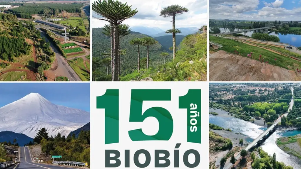 En el marco de la conmemoración de los 151 años de la Provincia de Biobío, Empresa Periodística Biobío, a través de Diario La Tribuna, Radio San Cristóbal y Agencia Media Chile, invita a jóvenes de las 14 comunas de la provincia a participar del concurso de identidad provincial “151 años, 14 comunas, una provincia, La Tribuna