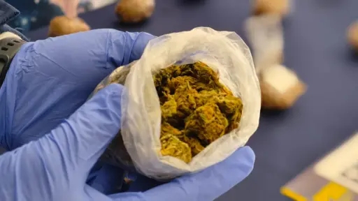 Operativo policial permite desbaratar traslado de cocaína desde Santiago hacia la provincia de Malleco