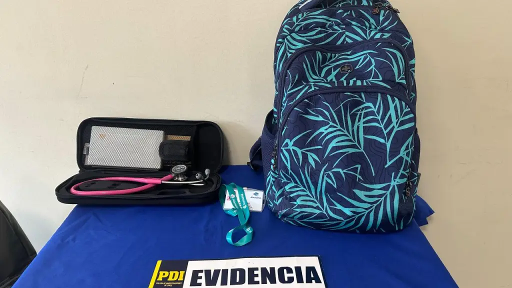 Especies recuperadas por la PDI, PDI Araucanía