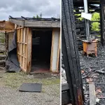 Incendio en Quilleco, La Tribuna