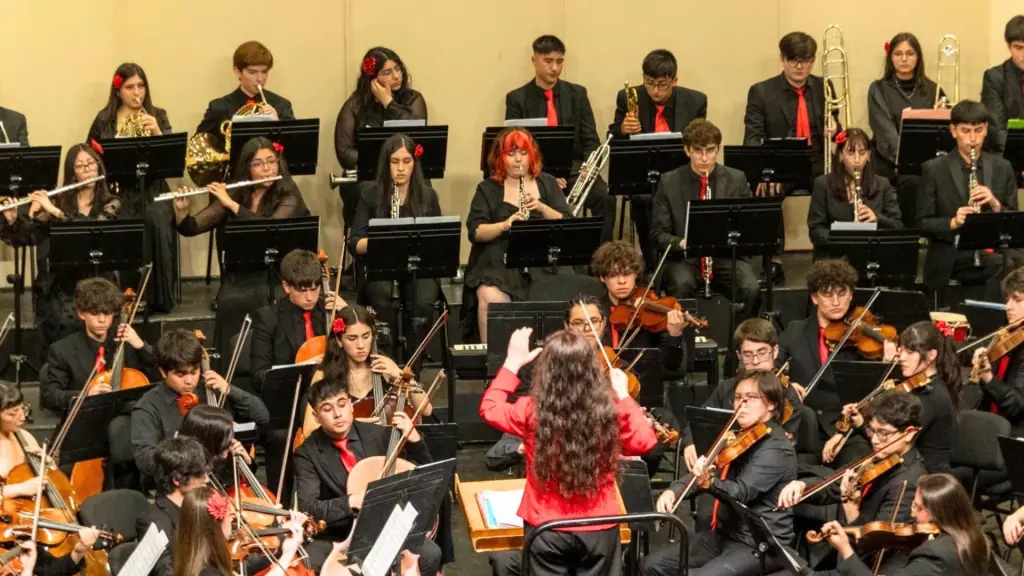 Jóvenes de Los Ángeles, Nacimiento, Negrete y San Rosendo forman parte de los 74 integrantes de la Orquesta Sinfónica Juvenil Regional del Biobío durante la temporada 2026., Cedida