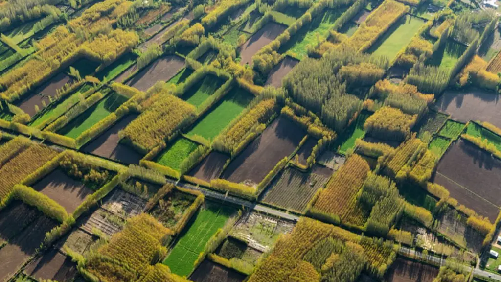 Los campos de multiplicación e investigación en semillas biotecnológicas permiten desarrollar variedades resistentes al estrés hídrico, fortaleciendo la seguridad alimentaria.