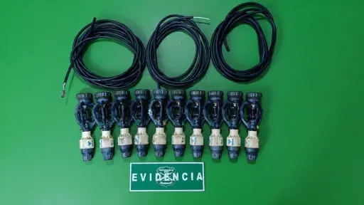 Mujer fue arrestada tras ser sorprendida con especies robadas desde predio agrícola en Mulchén