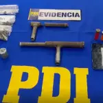 Especies incautadas en operativo en Purén, PDI Araucanía