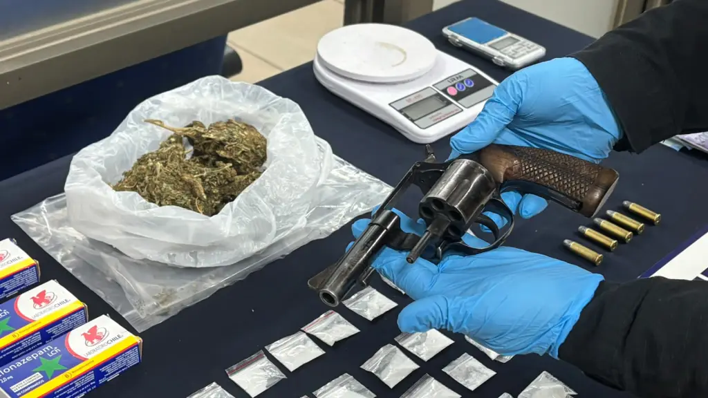 Especies incautadas por la PDI, PDI Biobío