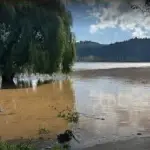 Pie de foto: El aumento del caudal de los ríos Bío Bío y Laja motivó la suspensión del cruce de balsas en el sector Curamávida de San Rosendo., Municipalidad de San Rosendo