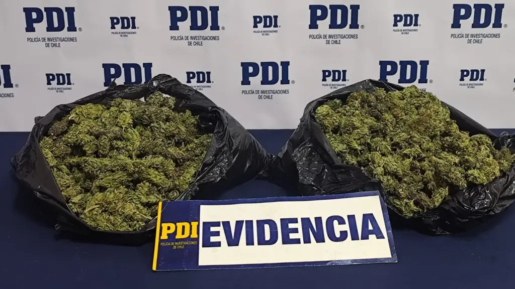 Droga incautada, PDI Araucanía