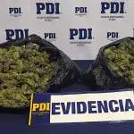 Droga incautada, PDI Araucanía