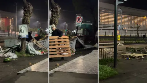 Camión termina con carga de frutas y verduras esparcida en plena vía pública en Los Ángeles