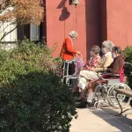 Senado revisa situación de los Eleam: faltan plazas y persisten recintos sin autorización, Gobierno de Chile