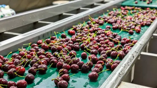 Cerezas, embalaje y seguridad hídrica marcan los desafíos del sector frutícola