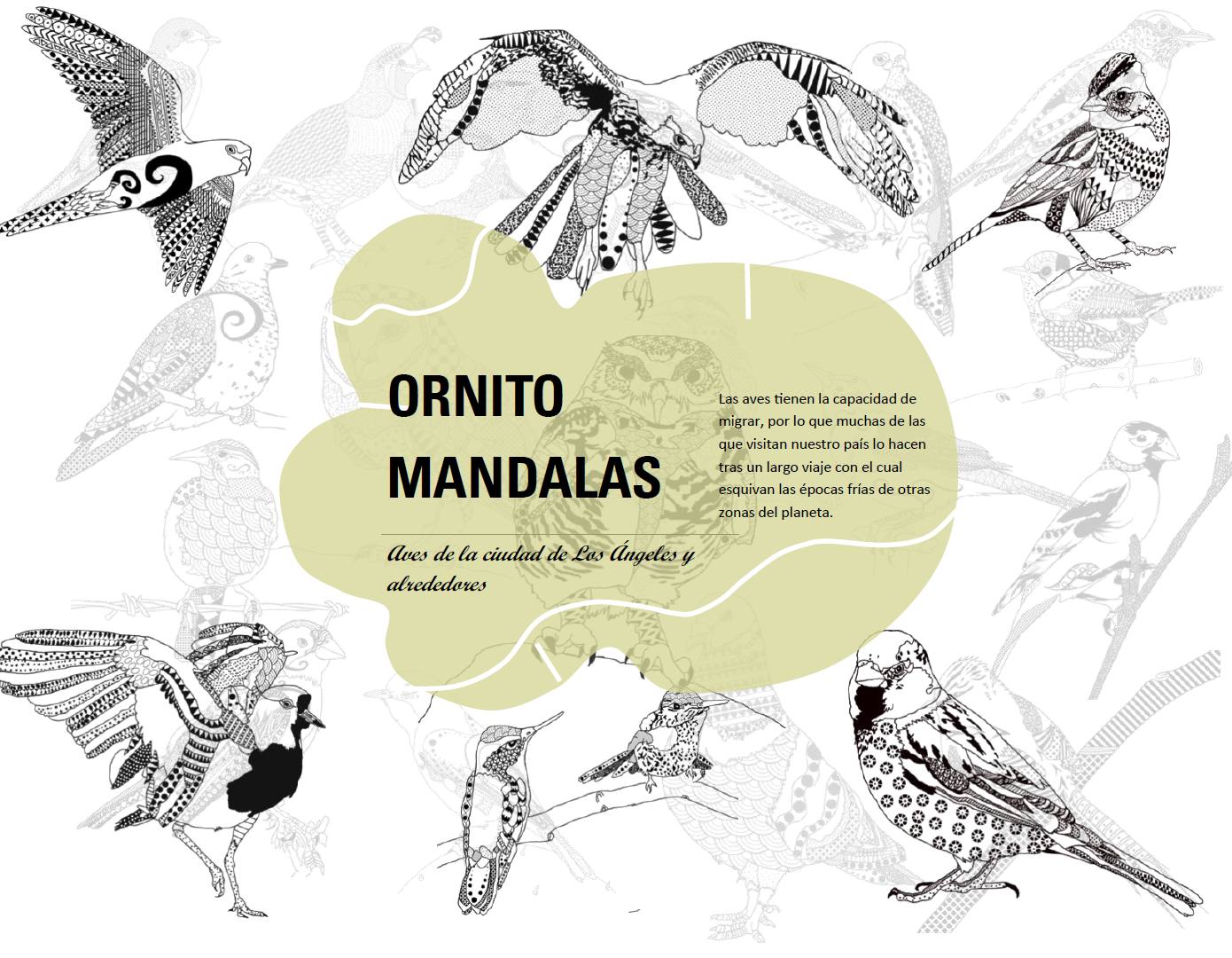 Caratura del libro / Cedida