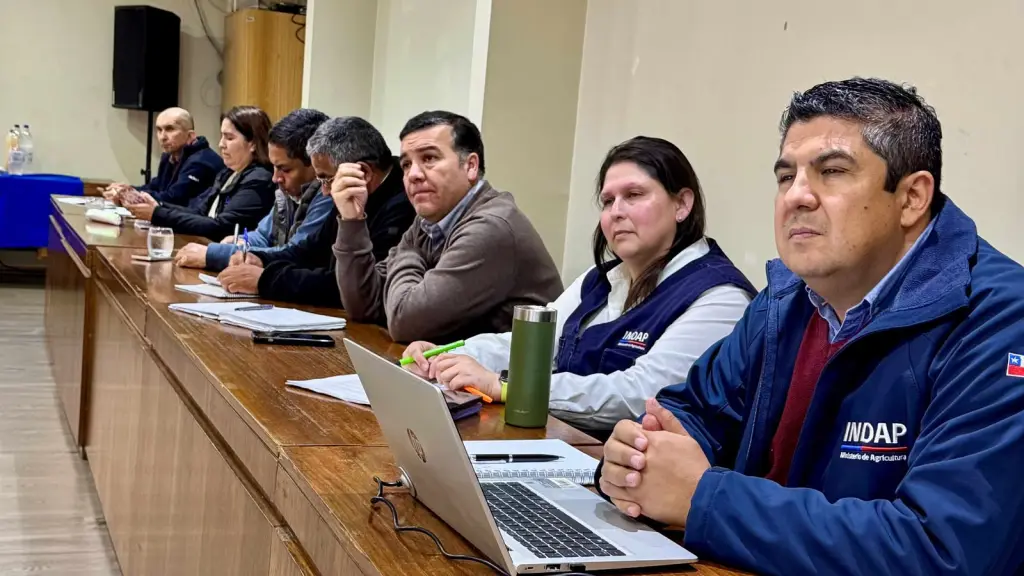 Definición estrategia institucional, Indap