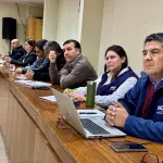 Definición estrategia institucional, Indap