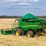 Los agricultores chilenos dedicados al cultivo de granos enfrentan un escenario de elevados costos por el petróleo a más de USD 100 el barril y el alza de la urea, junto a la incertidumbre climática ligada a El Niño en primavera.