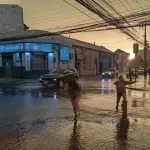 Tormenta en Los Ángeles, La Tribuna