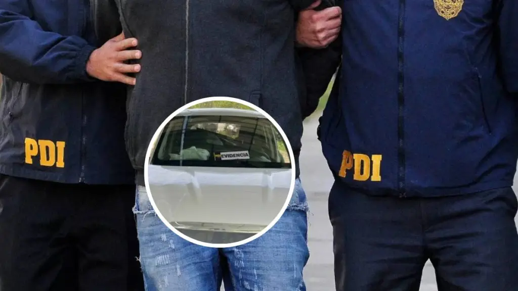Este operativo interregional contó dejó un detenido tras ubicar los vehículos robados al interior de un recinto rural en la provincia de Biobío., PDI