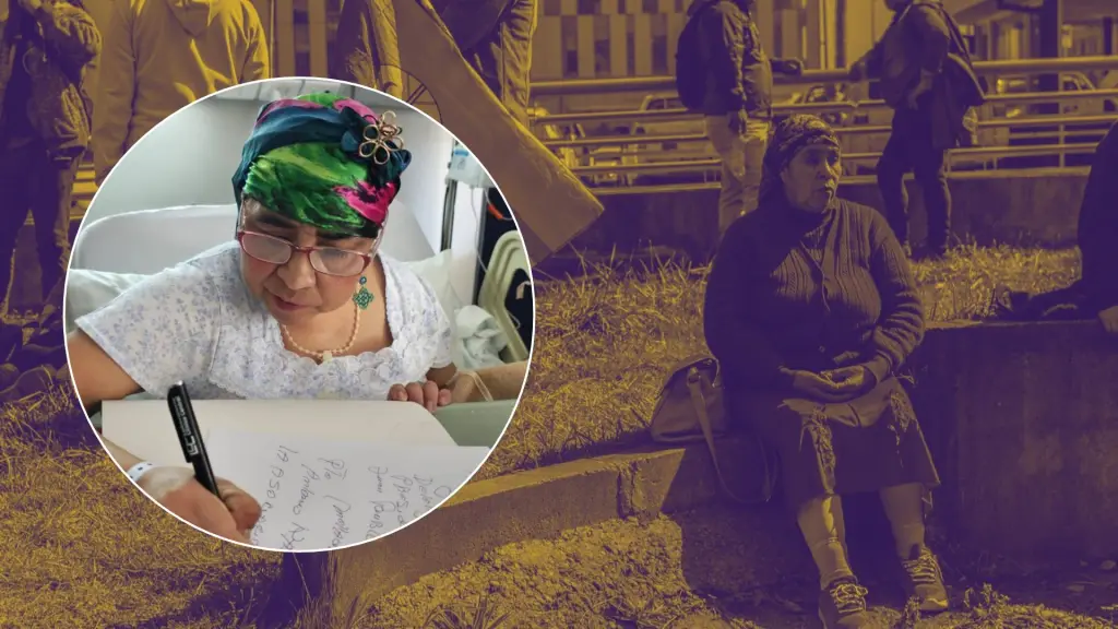 A los 63 años: Falleció Carmen Paine Tranamil, mujer pewenche de Alto Biobío que llamó a derribar tabúes sobre el cáncer, La Tribuna