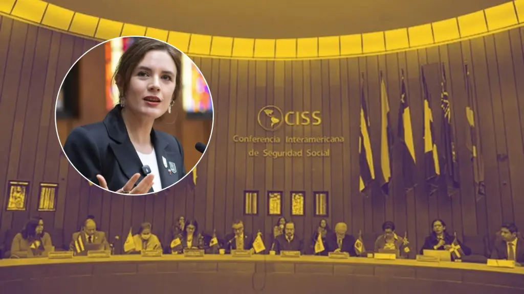 Camila Vallejo asume nuevo desafío en organismo internacional, Redes sociales
