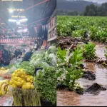 A pesar de que el superávit hídrico asegura la disponibilidad de agua, el rezago agrícola mantendrá presionados los precios de las verduras a corto plazo., La Tribuna