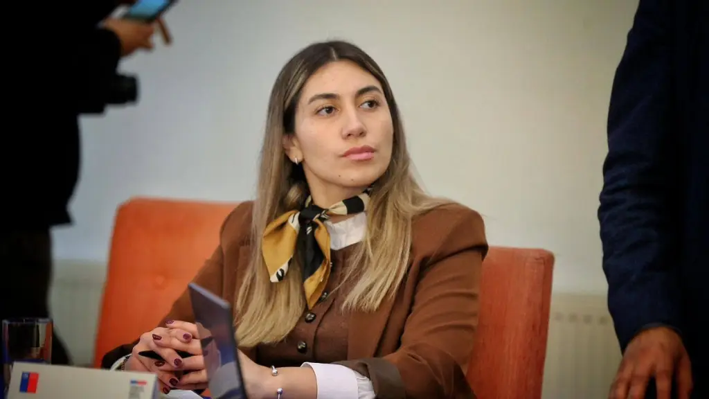 Michelle Vera informó que la mujer afectada está siendo acompañada y derivada al Centro de la Mujer de Santa Bárbara., Seremi de la Mujer Biobío (Archivo)