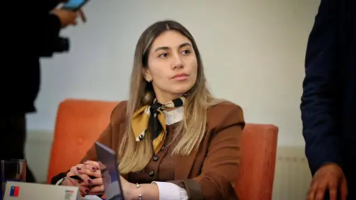 El llamado es a realizar la denuncia: seremi de la Mujer aborda violencia intrafamiliar tras crimen de Jaime Urrea
