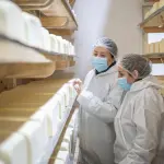 Inspección a planta de quesos Matthei, Seremi de Salud Biobío