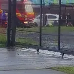 Cedida, La Tribuna