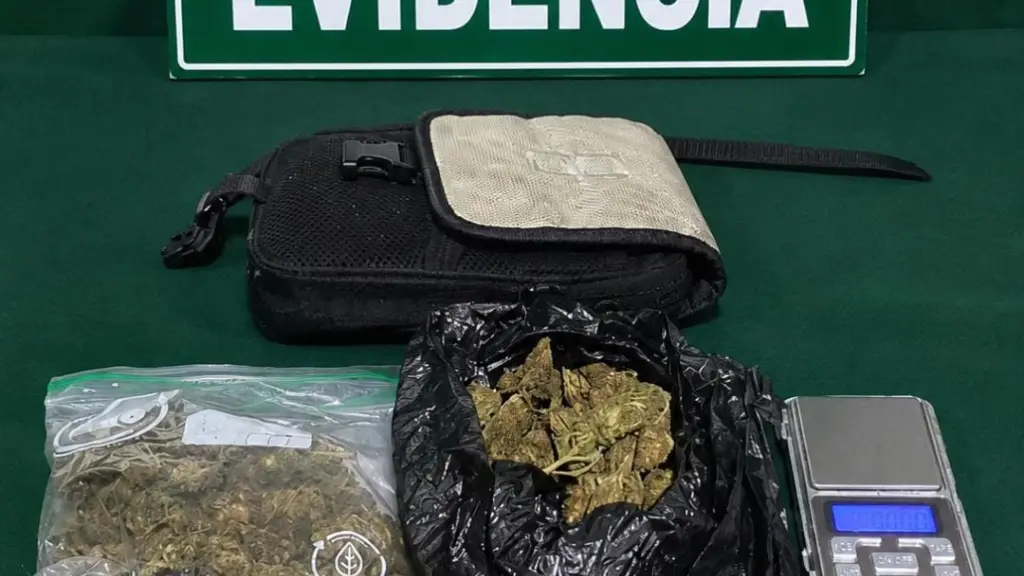 Droga incautada en medio de una fiscalización realizada por Carabineros, Cedida